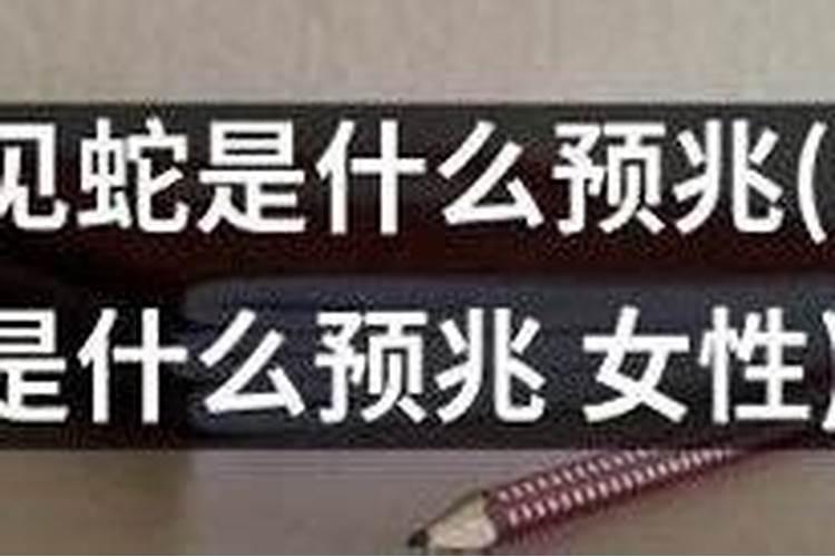 中秋节吃月饼的由来与风俗 中秋节的习俗有哪些