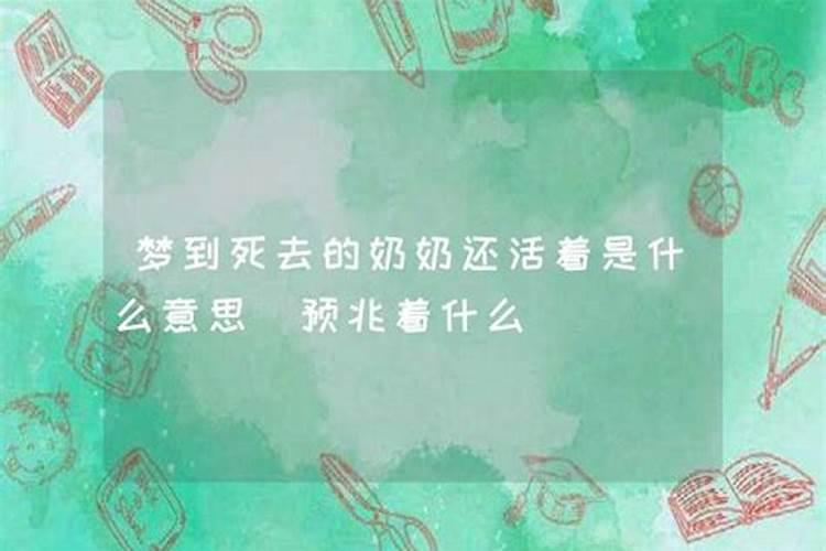 龙图什么梗