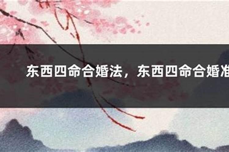 2025属鸡犯太岁吗
