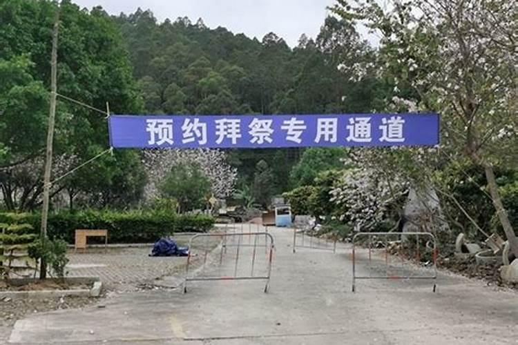 清明扫墓怎么预约