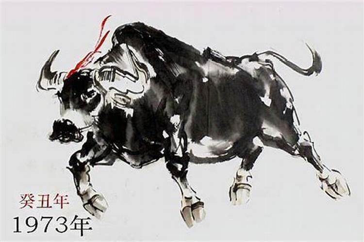 1973年属牛一生三大坎,1973年属牛一生运程