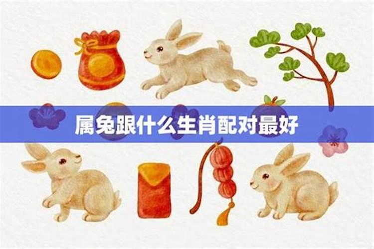 1999属兔男最佳配偶属相