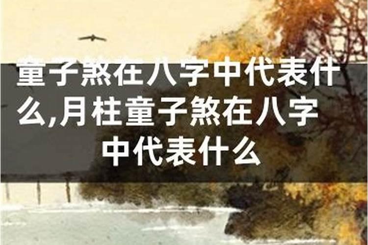 中老年女人梦到骑摩托车