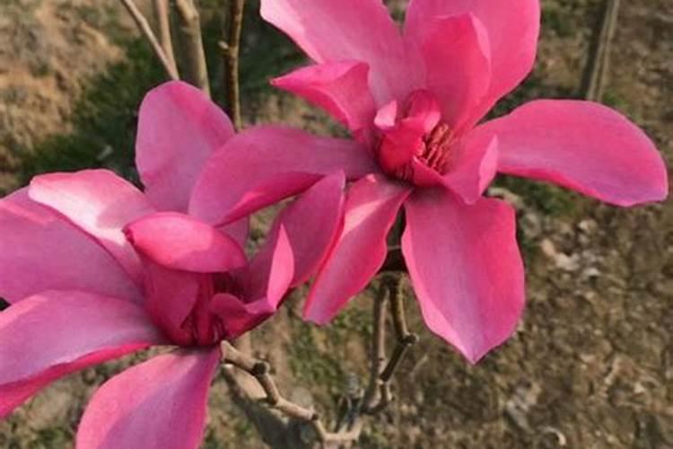 中秋节是农历几月几日