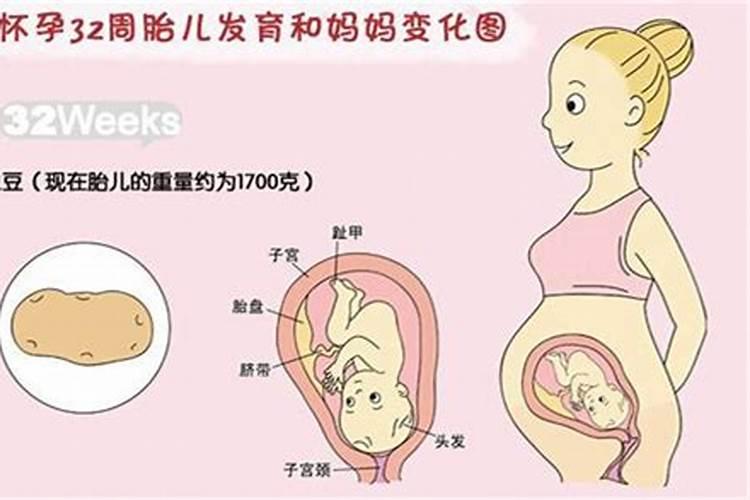 梦见文曲星说是自己儿子