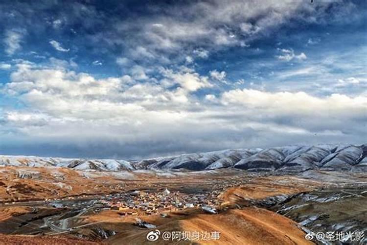 属羊6月份运势2025