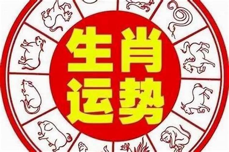 冬至是什么意思有什么意义
