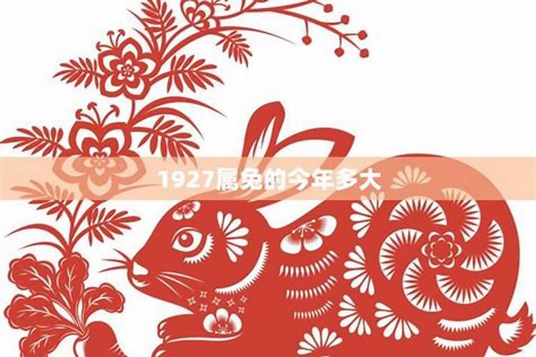 属兔今年多大年龄2023年兔年运势好不好
