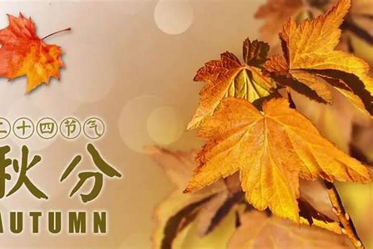 庚申年是什么意思 庚申年出生人的命运详解