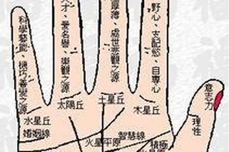 为什么看相算命很准