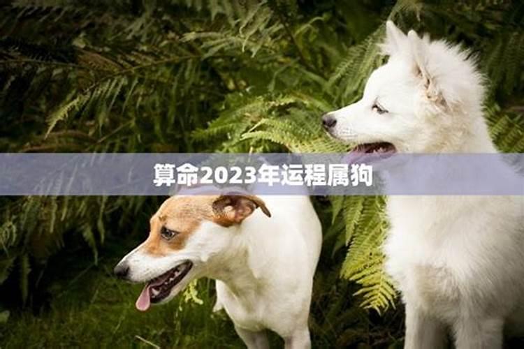 二月二这天有什么禁忌吗