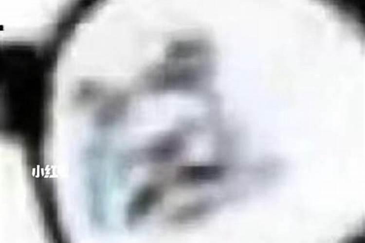 梦到和喜欢的人去玩预示着什么意思