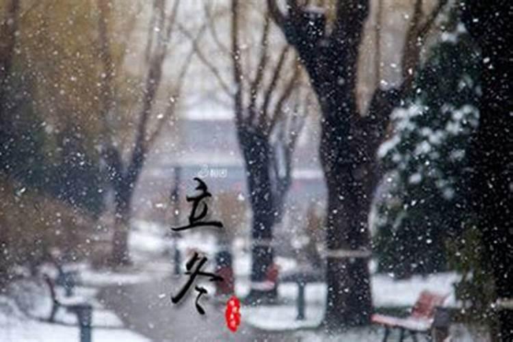 连续两天梦到蛇预示着什么