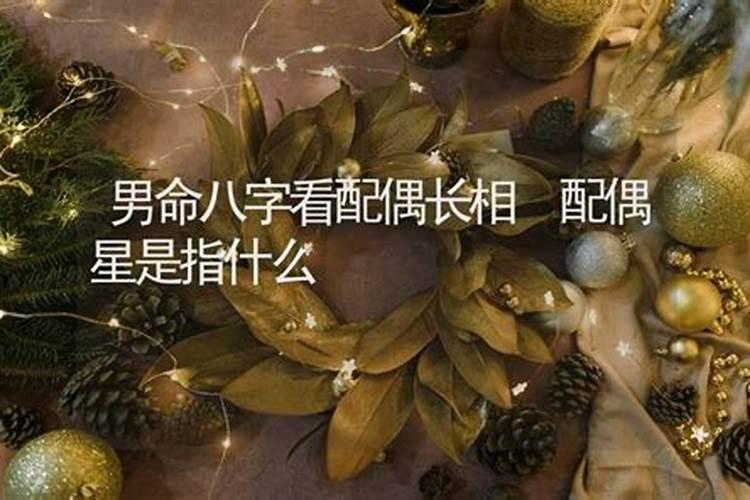 如何看配偶星在哪个柱 如何看配偶星什么属性好？
