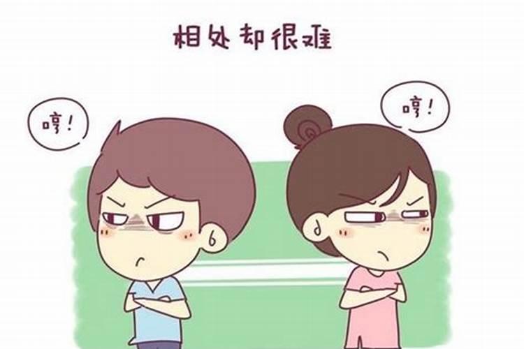 鼠女和蛇男做夫妻好不好,男属蛇和女属鼠好吗