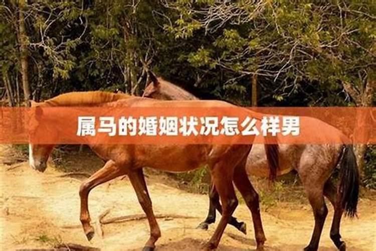 78年马女的婚姻坎坷,78年属马女婚姻