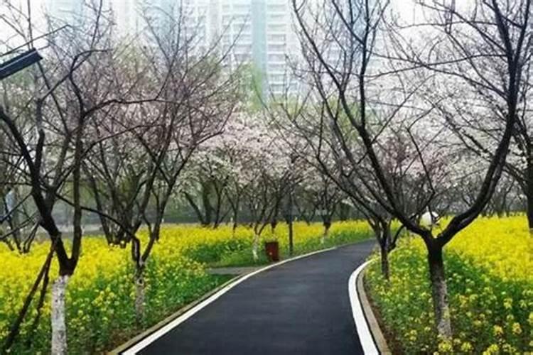 2025艾叶什么时候挂门上