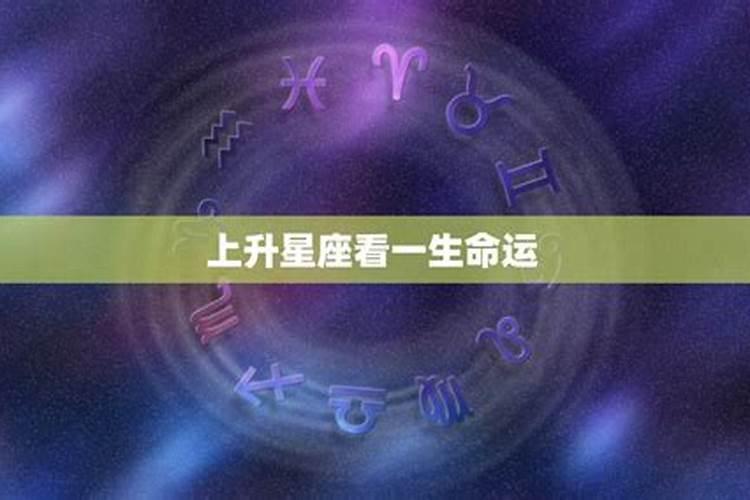 梦见老板喜欢自己什么意思