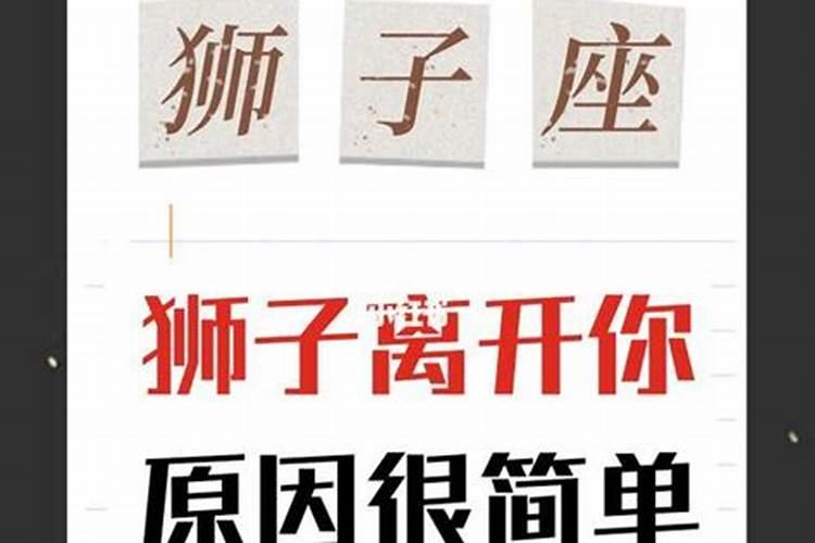梦见老板喜欢自己的预兆