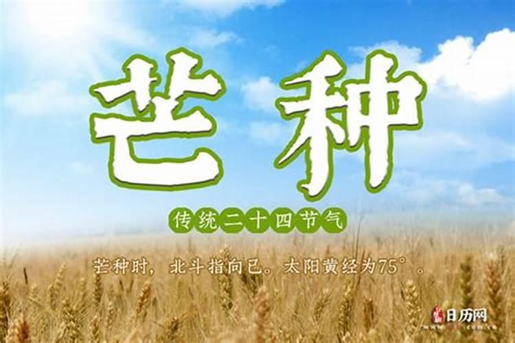 芒种和夏至的由来