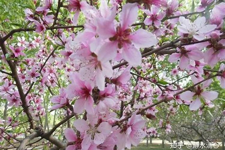 高考临近,如何布局文昌位风水,提高孩子考运