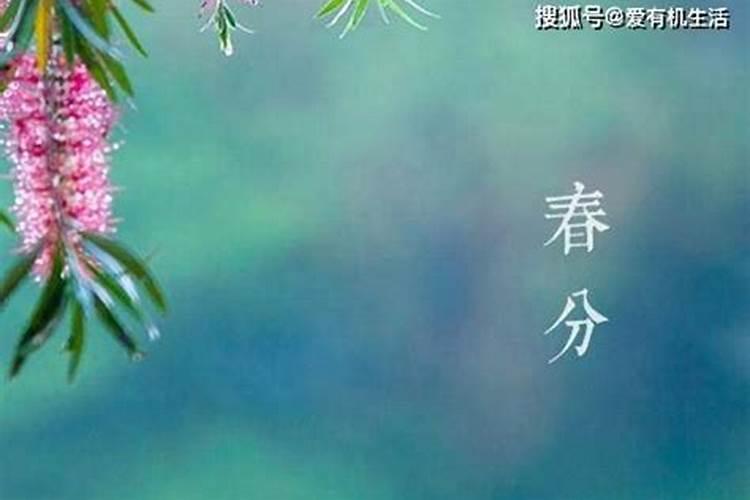 春分出生的人是什么命 那天出生好吗？