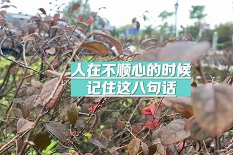 遇到不顺心的事怎么调整心态