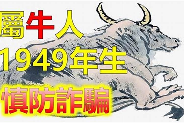 属牛的人2025年的命运