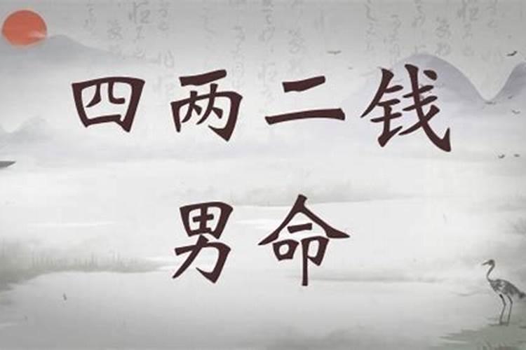 不同年份属羊人的运势