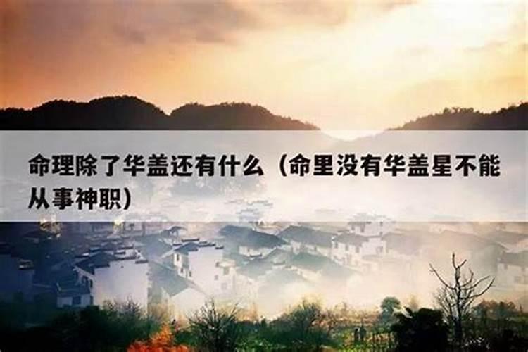 10月出生的兔子一生运势如何 为什么属兔的人心狠