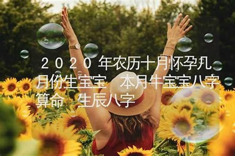 梦见自己开公共汽车的预兆