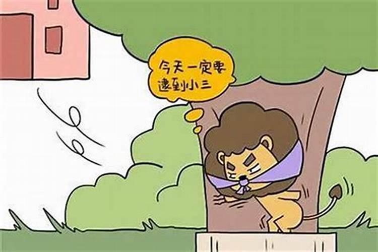 怎样哄狮子座男生不生气,狮子座女生喜欢一个人的表现