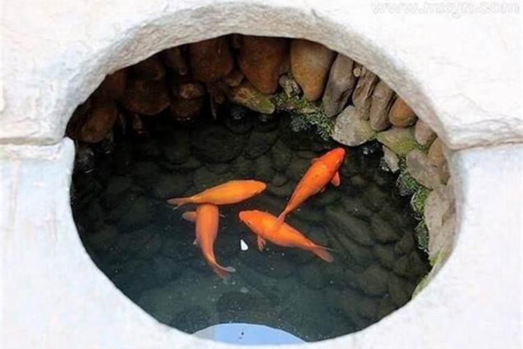 梦见他人被蛇咬的预兆