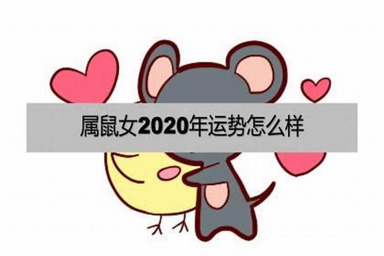 84年属鼠女在2025年每月运势