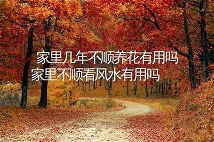 农历1992年10月初1下午5点到7点五行属相是什么？五行缺什么？