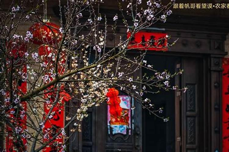 属牛男和什么属相最配最好