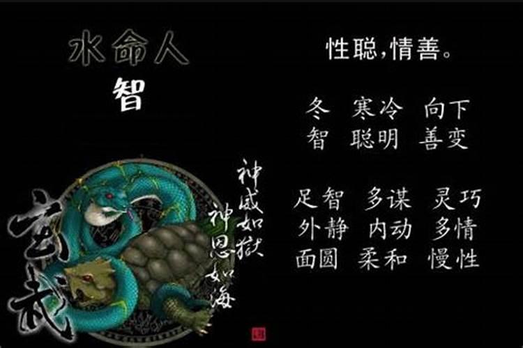 紫微斗数自学笔记:命盘解读