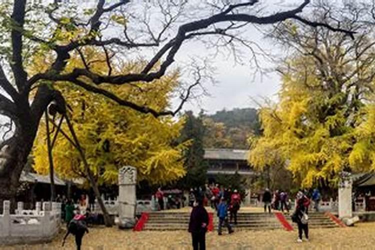 重庆綦江秋分的习俗 老綦江的秋分祭月神？