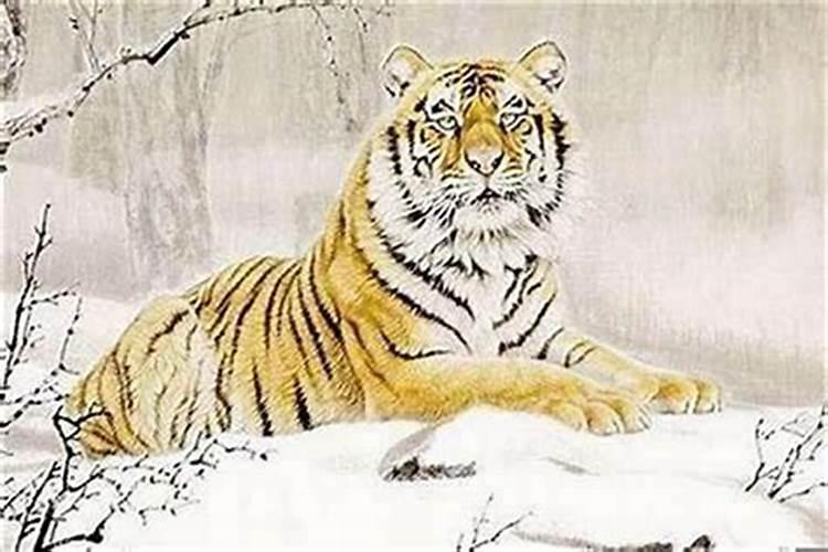 生辰八字不利婚姻 不利婚姻的神煞