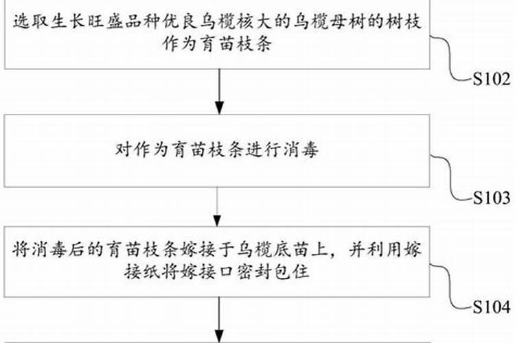 鄂州民俗风作文600字