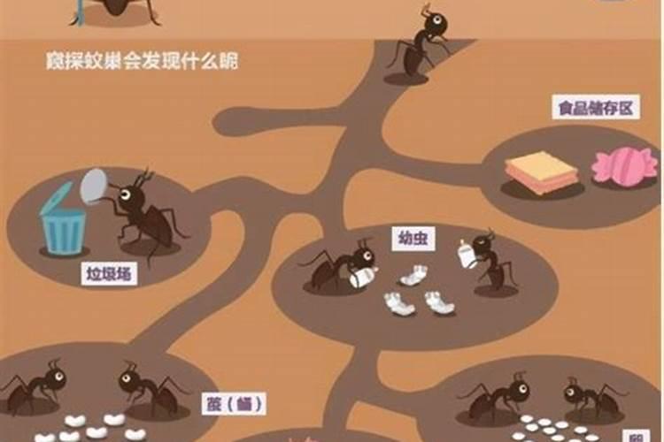 梦见老公和别人吵架的预兆
