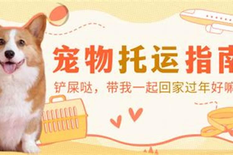 属鸡人2025全年运势 属鸡人2025年每月运势