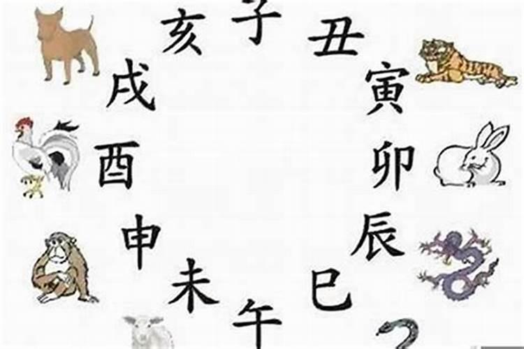 2025年5月12日至2025年5月18日12生肖一周的运势如何