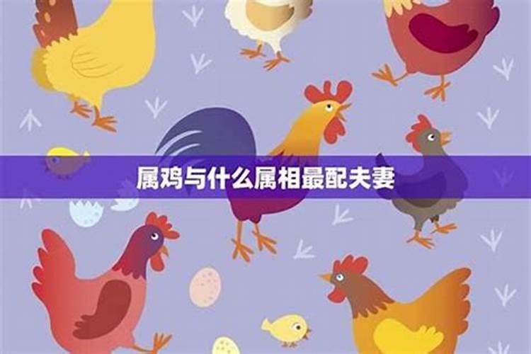 1987年属兔人2025年全年运势