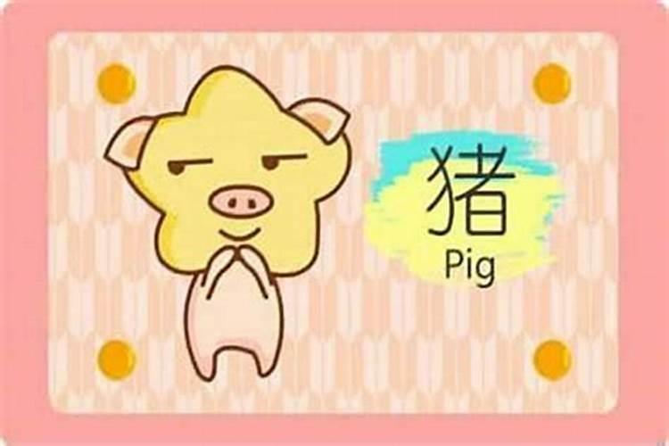 男属猪婚配什么好