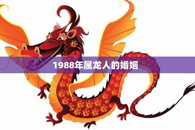 1988年属龙女的婚姻运势如何 1988年属龙的女人配偶是什么命