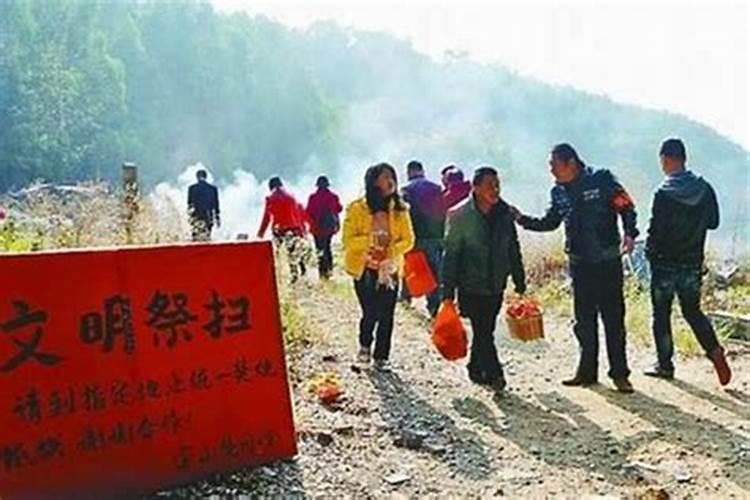 鼠2025年运势及运程每月运程