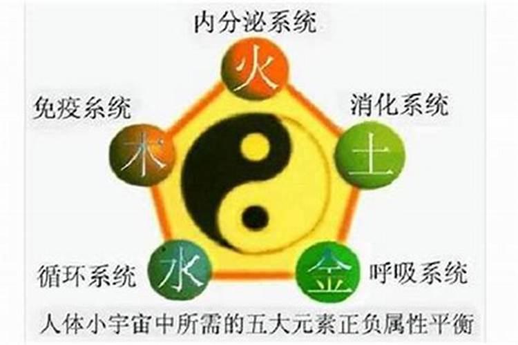 五行里最忌缺什么