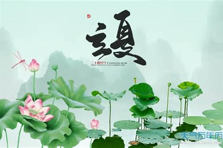 两个属兔的人结婚好吗 两个属兔的人适合做夫妻吗