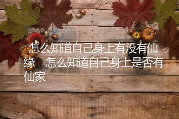 身上带仙看哪个手指哪个手指代表自己身上有仙缘